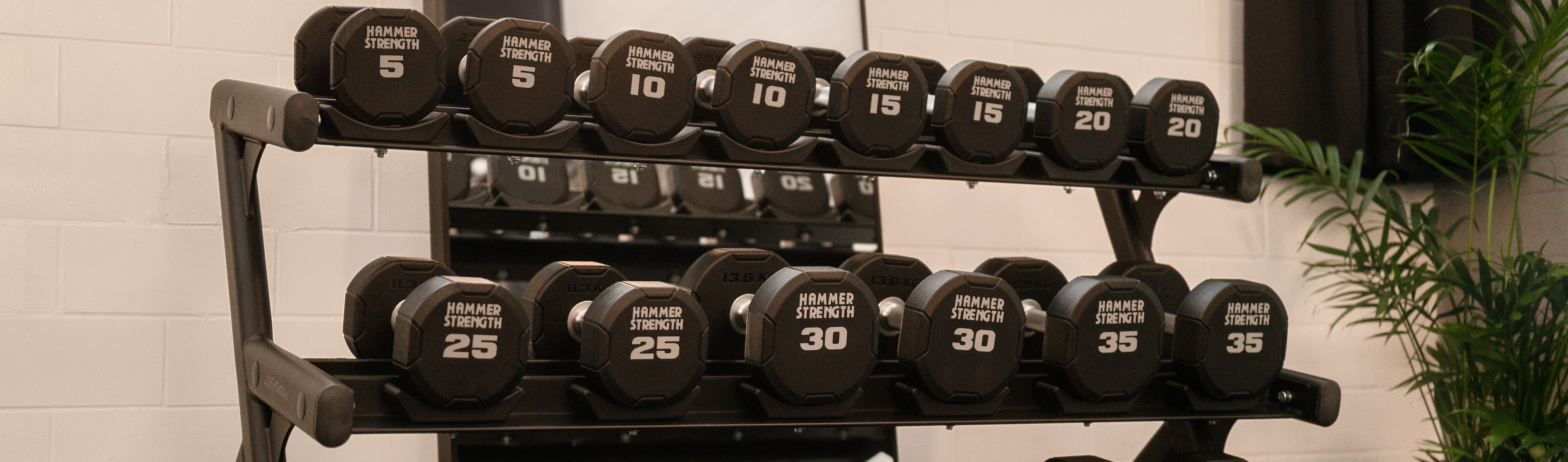  Das sind die Vorteile des Krafttrainings 