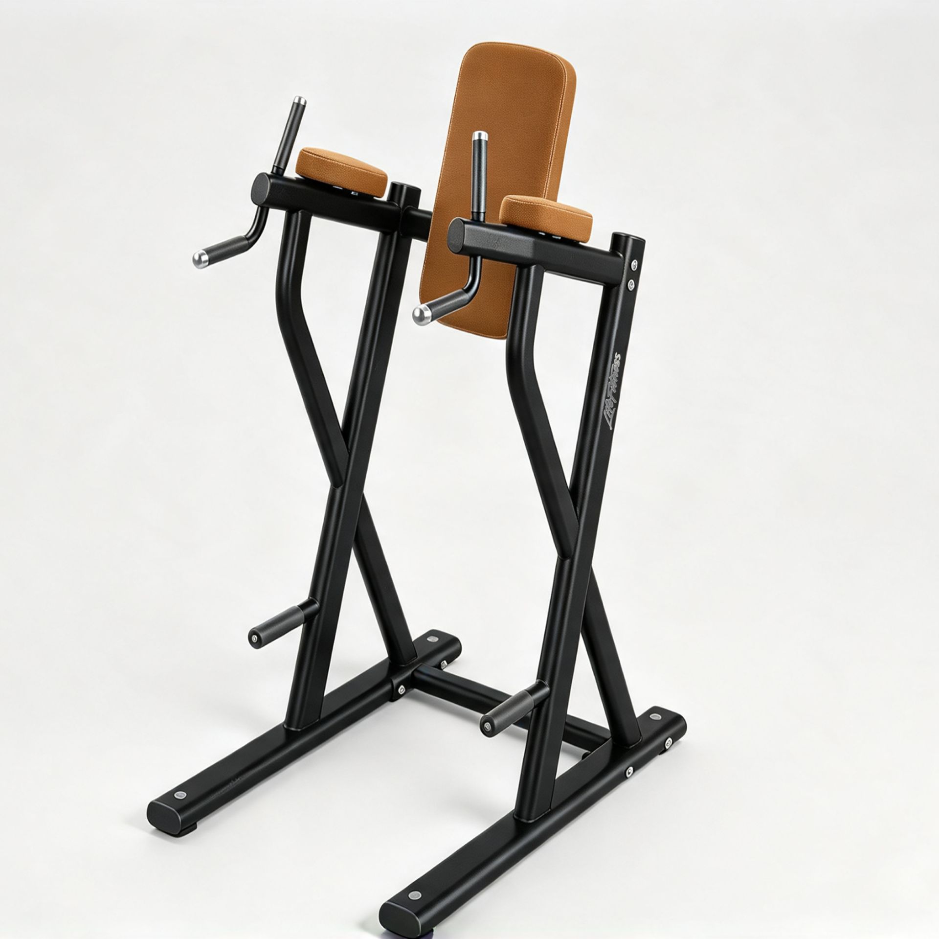 Dip/Leg Raise