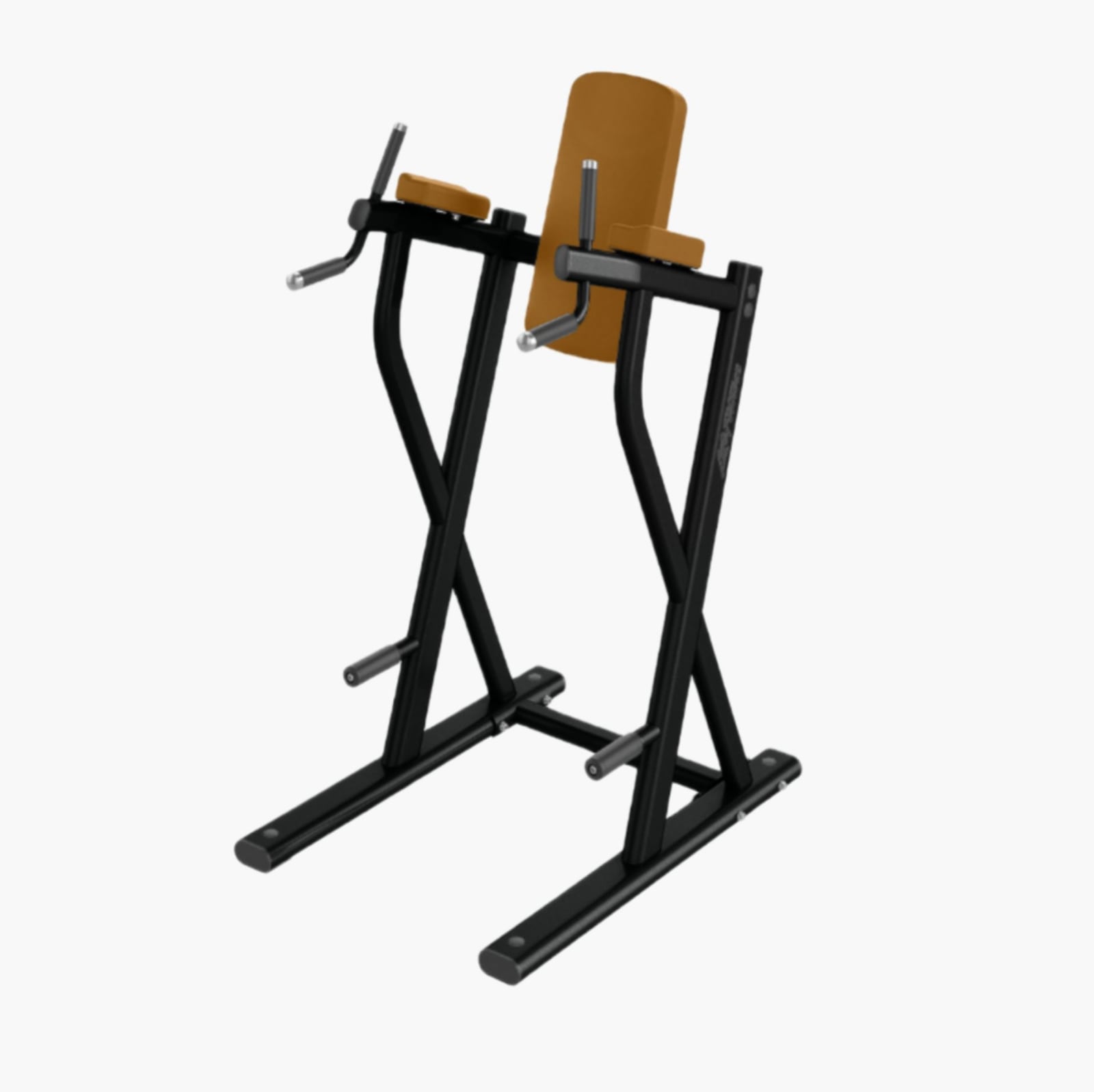 Life Fitness Dip / Leg Raise